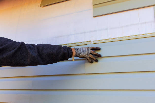 Affordable Siding Repair and Maintenance Services in Tyro, NC